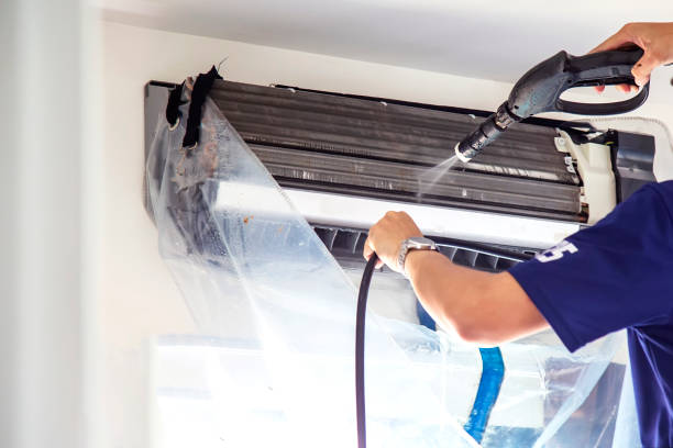 Best Air Duct Mold Removal  in Shorewood, WI